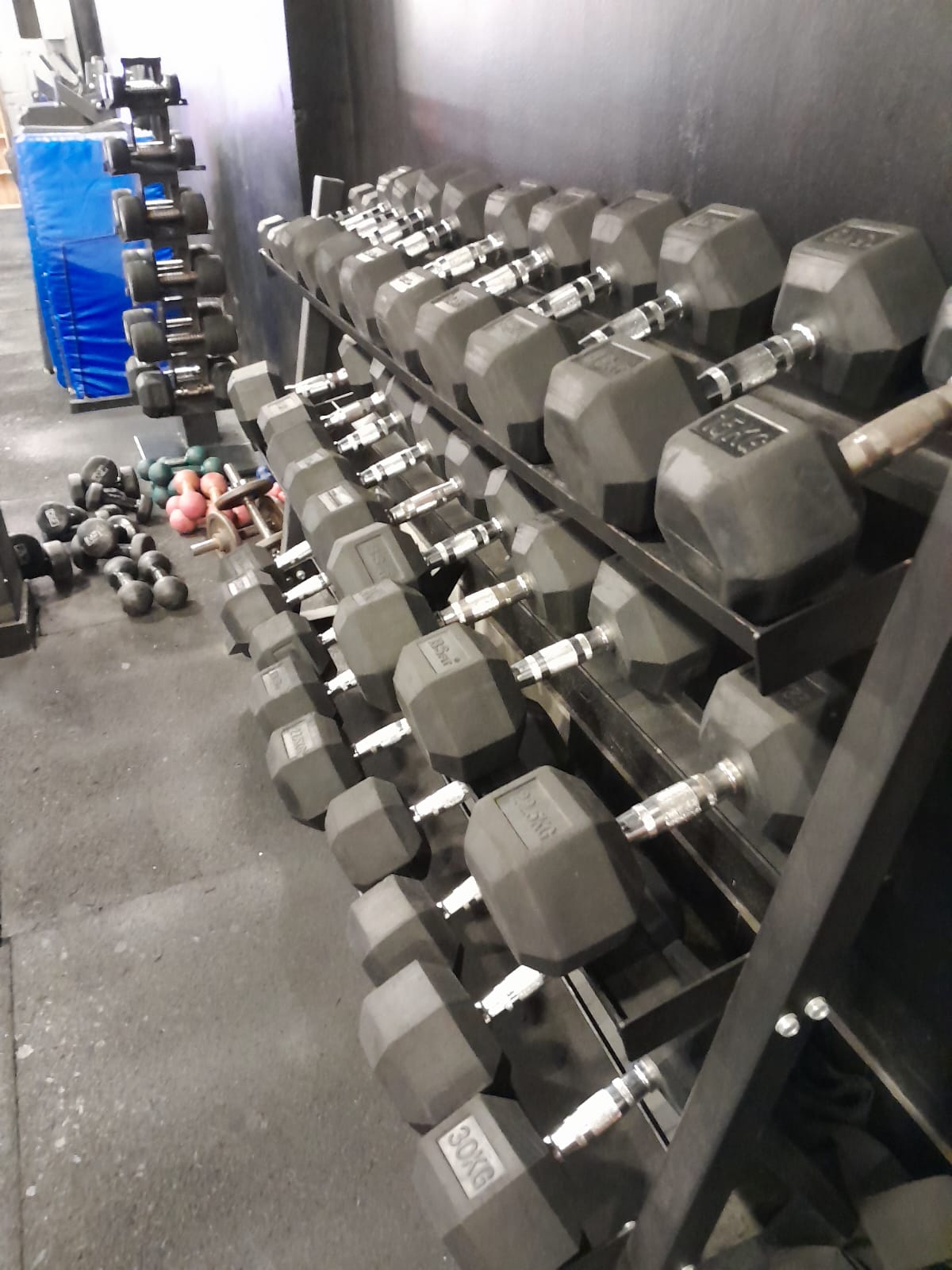 Mancuernas de GAN Functional Training