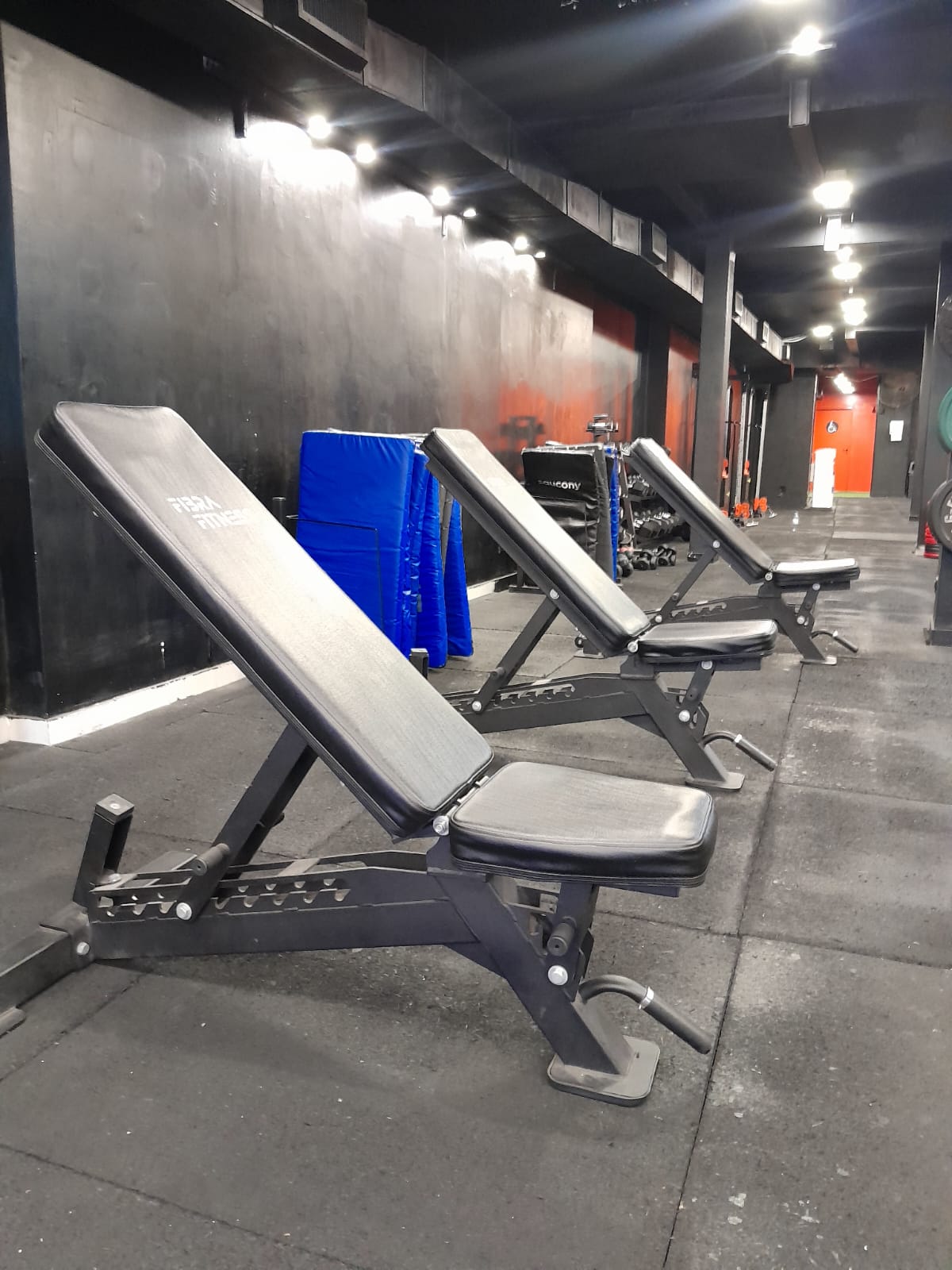 Bancos regulables de GAN Functional Training
